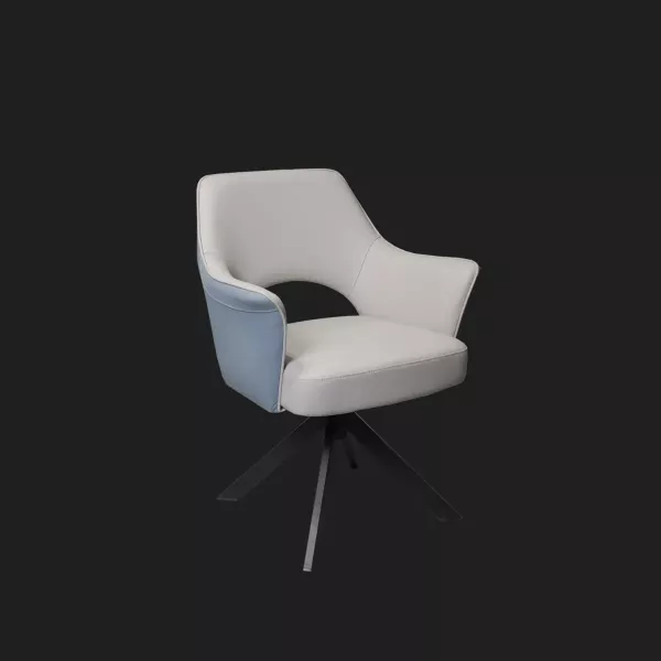 CS6獨立筒旋轉椅